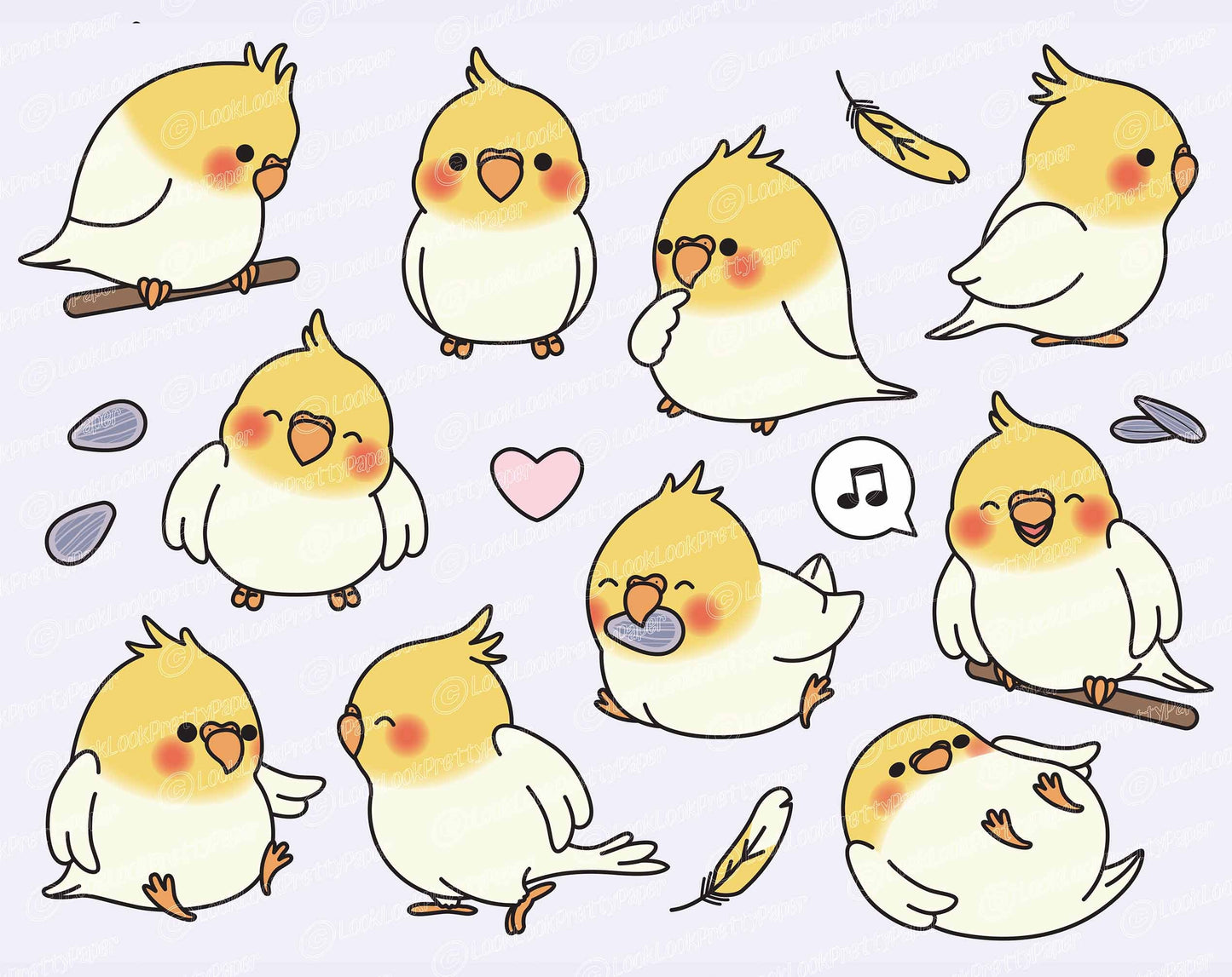 Premium Vector Clipart - Kawaii Cockatiel - Cute Cockatiel Clipart Set - High Quality Vectors - Instant Download - Kawaii Clipart