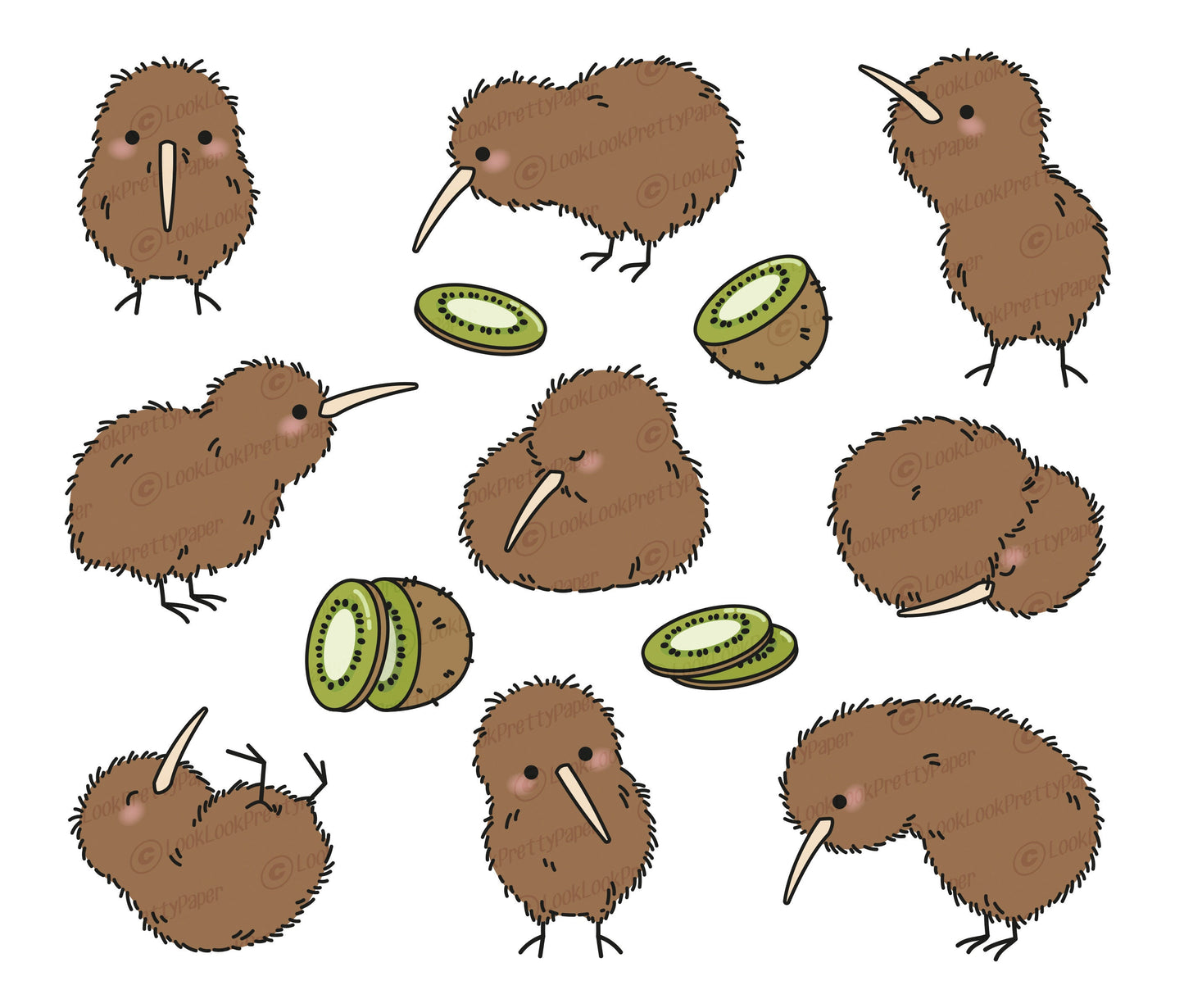 Premium Vector Clipart - Kawaii Kiwi - Cute Kiwi Bird Clipart Set - High Quality Vectors - Instant Download - Kawaii Clipart